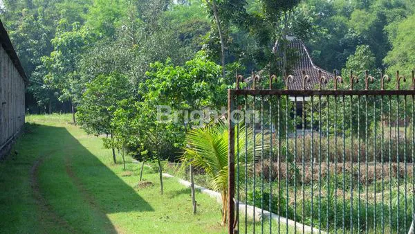 image TANAH STRATEGIS PARE KEDIRI (2)