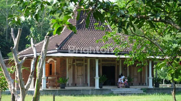 image TANAH STRATEGIS PARE KEDIRI (4)