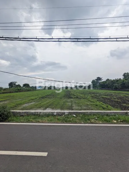 image TANAH STRATEGIS GUNUNG GEDANGAN MOJOKERTO (5)