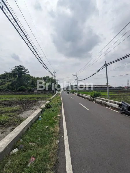 image TANAH STRATEGIS GUNUNG GEDANGAN MOJOKERTO (4)