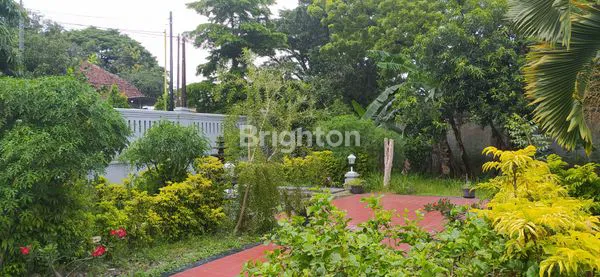 RUMAH TINGGAL DENGAN HALAMAN LUAS DI SLAWI TEGAL