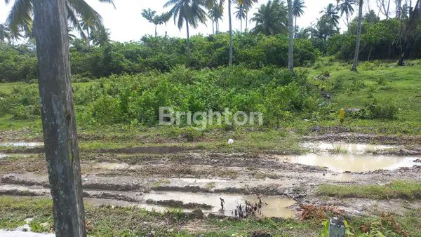 image \U203C\UFE0FDIJUAL TANAH DI SAMBOJA\U203C\UFE0F (3)