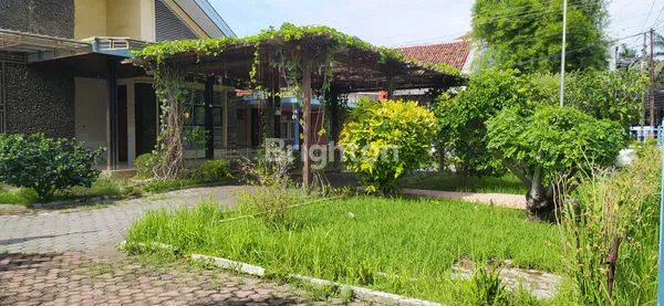 image RUMAH HALAMAN LUAS DI PUSAT KOTA TEGAL  (2)