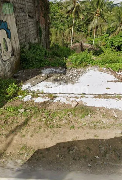 image TANAH PREMIUM KAWASAN WISATA ALAS HARUM TEGALLALANG (2)