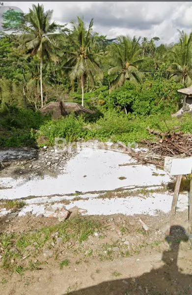 image TANAH PREMIUM KAWASAN WISATA ALAS HARUM TEGALLALANG (1)
