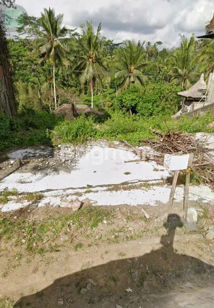 image TANAH PREMIUM KAWASAN WISATA ALAS HARUM TEGALLALANG (3)