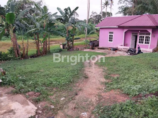 image TANAH 2 KAVLING DI AREA PERKAMPUNGAN BALIKPAPAN (4)