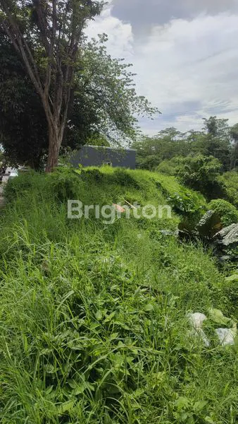 image DIJUAL TANAH PINGGIR JALAN RAYA DAERAH WAGIR (3)