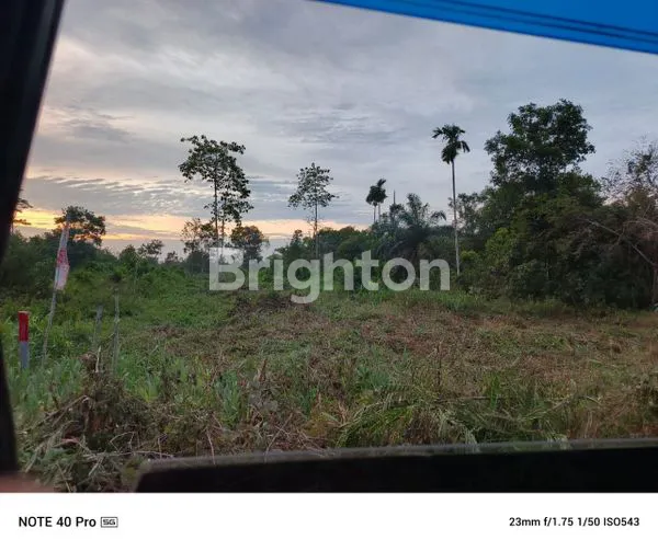 image TANAH SELUAS 3 HEKTAR DI SEMATANG BORANG BANYUASIN SUMSEL INDONESIA (2)