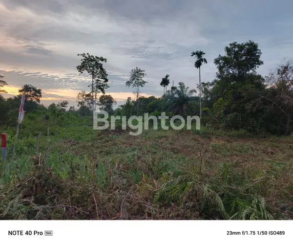 image TANAH SELUAS 3 HEKTAR DI SEMATANG BORANG BANYUASIN SUMSEL INDONESIA (4)
