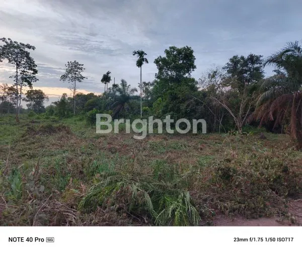 image TANAH SELUAS 3 HEKTAR DI SEMATANG BORANG BANYUASIN SUMSEL INDONESIA (3)