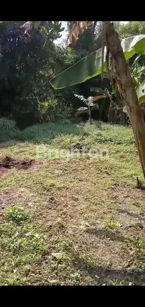 image BUTUH CEPAT LAKU TANAH LOKASI NOL JALAN (1)