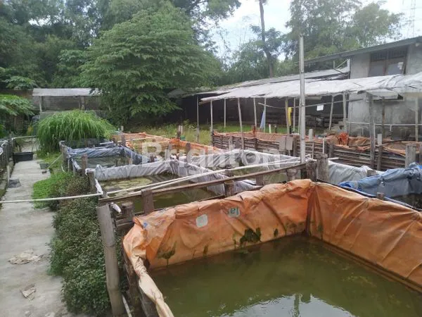 image GUDANG PERTERNAKAN DAN PERKEBUNAN (3)