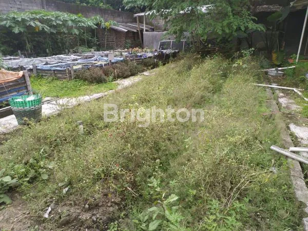 image GUDANG PERTERNAKAN DAN PERKEBUNAN (4)