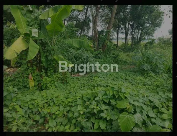 image DIJUAL CEPAT TANAH DI KARAWANG TIMUR (6)