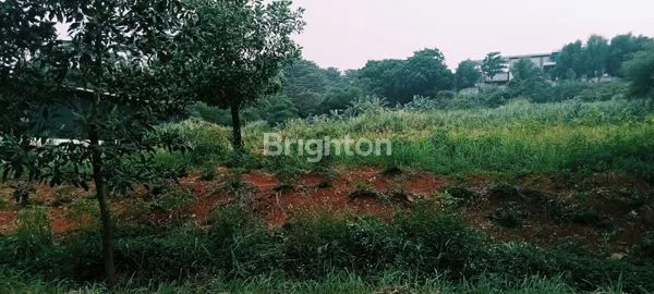 image TANAH DI JUAL COCOK UNTUK PABRIK DI KAWASAN INDUSTRI CITEUREUP SENTUL BOGOR (2)