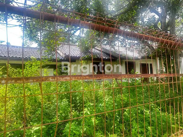 image RUMAH HARGA TANAH DI CIJUJUNG SENTUL (1)