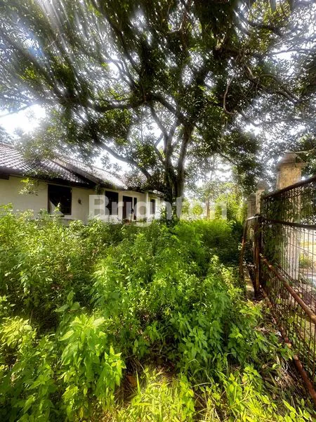 image RUMAH HARGA TANAH DI CIJUJUNG SENTUL (3)