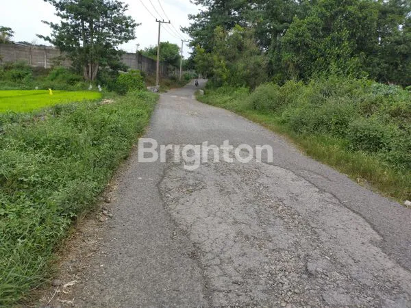 image KAVLING TANAH DUKUHSARI SUKOREJO PASURUAN JAWA TIMUR (2)