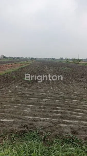 image CERME GRESIK  (1)