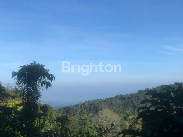 image TANAH DI JUAL PINGGIR JALAN RAYA  VIEW BUKIT DI DESA MUNDUK BULELENG  (4)