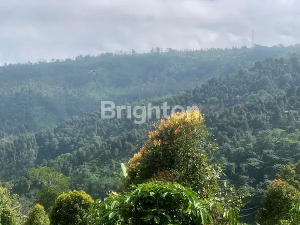 image TANAH DI JUAL PINGGIR JALAN RAYA  VIEW BUKIT DI DESA MUNDUK BULELENG  (2)