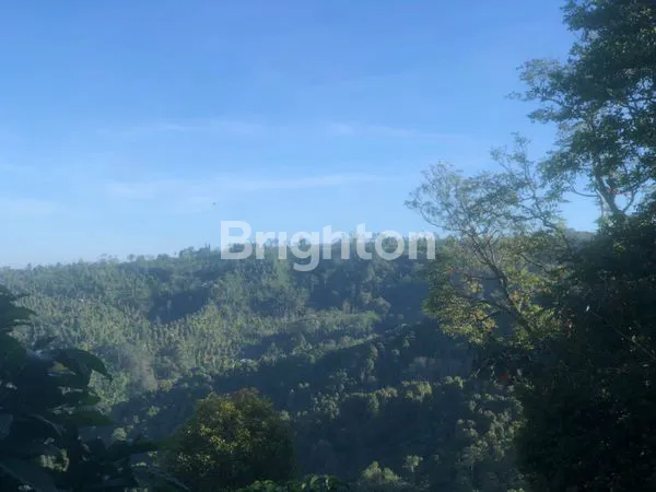 image TANAH DI JUAL PINGGIR JALAN RAYA  VIEW BUKIT DI DESA MUNDUK BULELENG  (6)