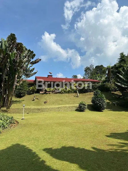 image VILLA SHINTA CANTIK DI CISARUA PUNCAK BOGOR (7)