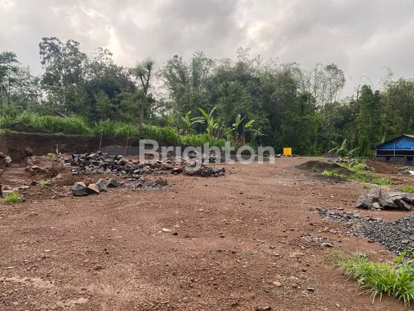 TANAH PRIGEN PANDAAN DEKAT TAMAN SAFARI PASURUAN