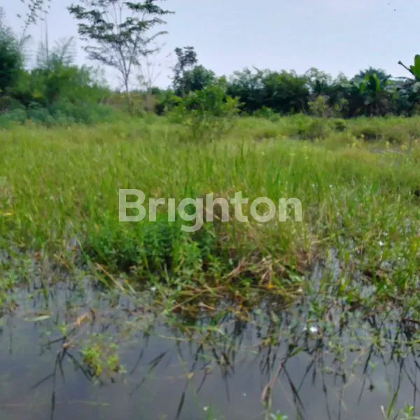 image DIUAL TANAH DI DELI SERDANG (1)