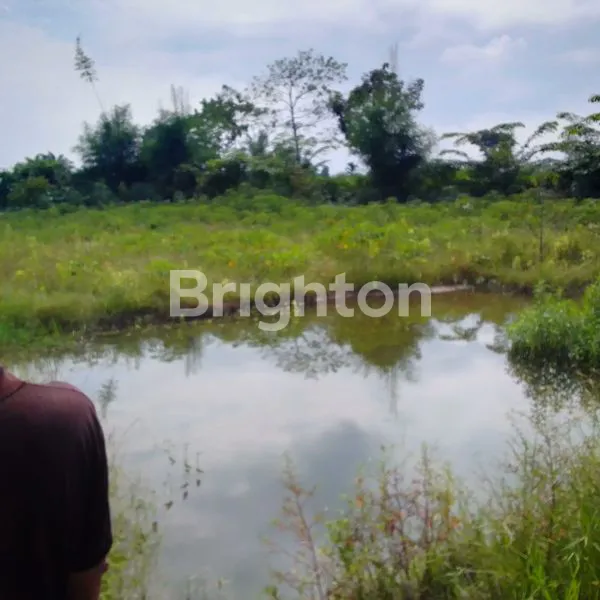 image DIUAL TANAH DI DELI SERDANG (2)