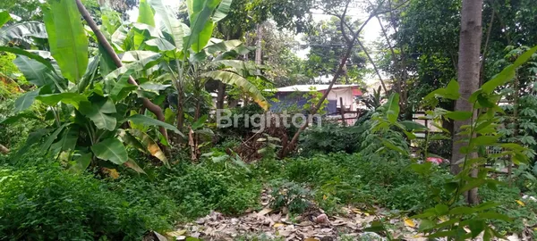 image LAHAN KOSONG LOKASI DEKAT GERBANG TOL PAMULANG (2)