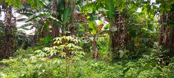 image LAHAN KOSONG LOKASI DEKAT GERBANG TOL PAMULANG (3)
