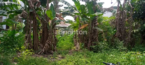 image LAHAN KOSONG LOKASI DEKAT GERBANG TOL PAMULANG (4)