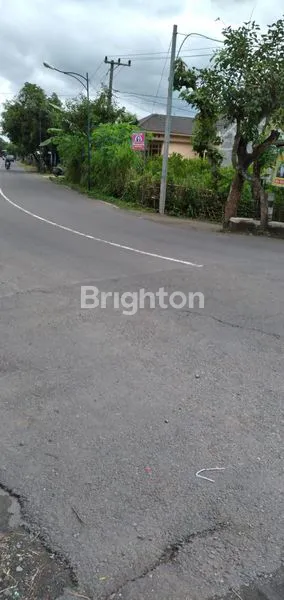 image TANAH LUAS DI TULUNGAGUNG (2)