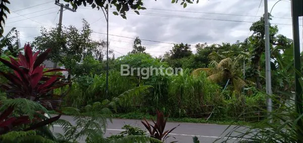 image TANAH LUAS DI TULUNGAGUNG (4)