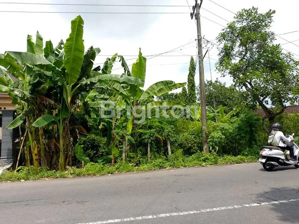 image TANAH LUAS DI TULUNGAGUNG (3)