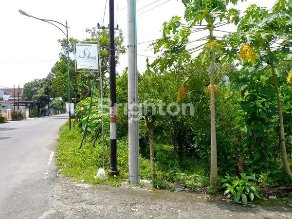 image TANAH LUAS DI TULUNGAGUNG (1)