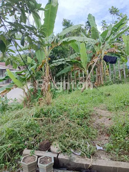 image RUKO COCOK BERMACAM USAHA (5)