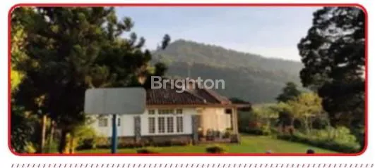 image TANAH BONUS RUMAH ,LT 22.967M2,HGB SD 2053;CIANJUR-CIPANAS-PUNCAK (3)