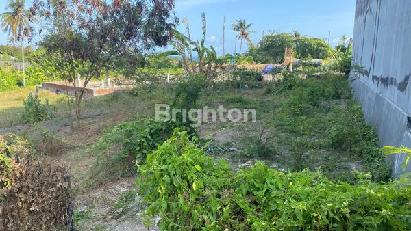 image TANAH SEBELAHAN DENGAN VILLA2 DEKAT PANTAI PURNAMA  DI KAWASAN JALAN PROF IDA BAGUS MANTRA GIANYAR (2)