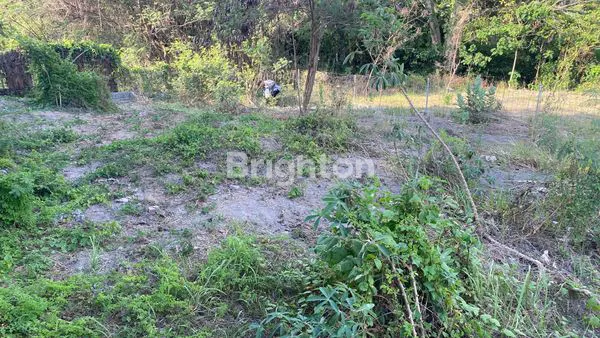 image TANAH SEBELAHAN DENGAN VILLA2 DEKAT PANTAI PURNAMA  DI KAWASAN JALAN PROF IDA BAGUS MANTRA GIANYAR (5)