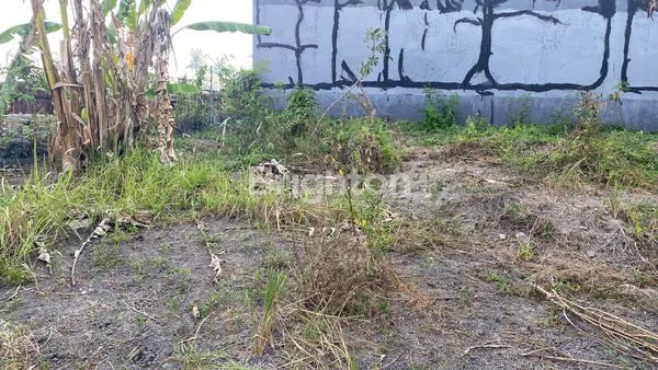 image TANAH SEBELAHAN DENGAN VILLA2 DEKAT PANTAI PURNAMA  DI KAWASAN JALAN PROF IDA BAGUS MANTRA GIANYAR (6)