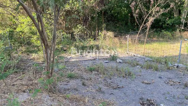image TANAH SEBELAHAN DENGAN VILLA2 DEKAT PANTAI PURNAMA  DI KAWASAN JALAN PROF IDA BAGUS MANTRA GIANYAR (7)