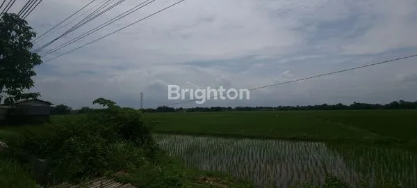 image TANAH DI TENGKEL, BANGKALAN (2)