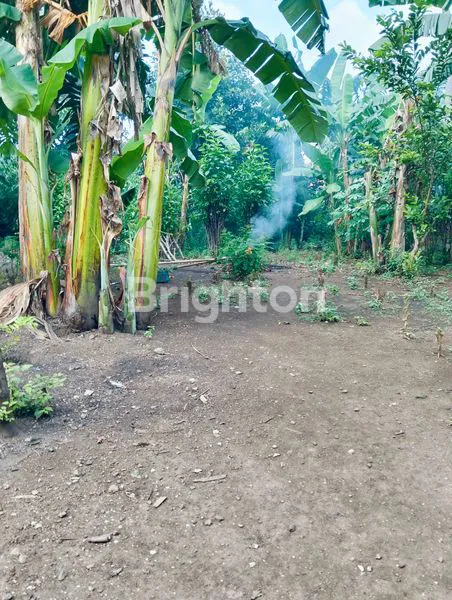 image TANAH DATAR STRATEGIS (NGANTONG) (3)