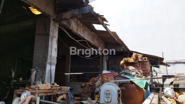 image TANAH GUDANG PLUMPANG JAKARTA UTARA (3)