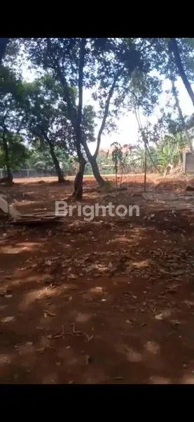 INVESTASI CERDAS! TANAH 3500 METER DI LOKASI STRATEGIS BAMBU APUS