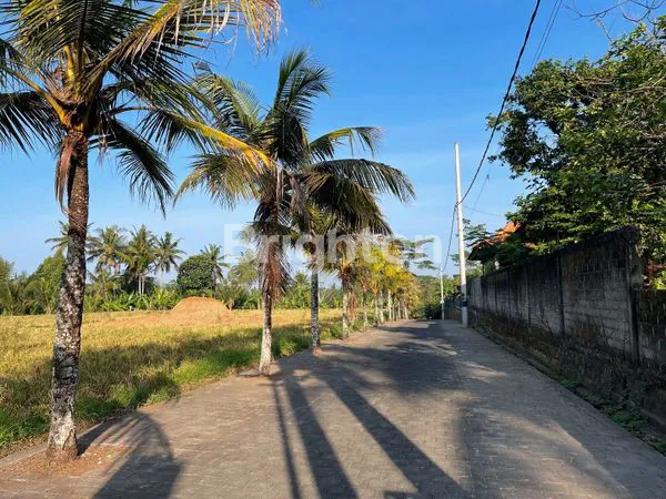 TANAH KAVLING SIAP BANGUN DI DESA DENBATAS TABANAN