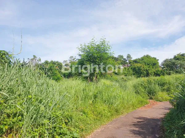 image TANAH DI JLN. RADEN FATAH, KALIAWI, TANJUNG KARANG PUSAT, BANDAR LAMPUNG, LAMPUNG (3)